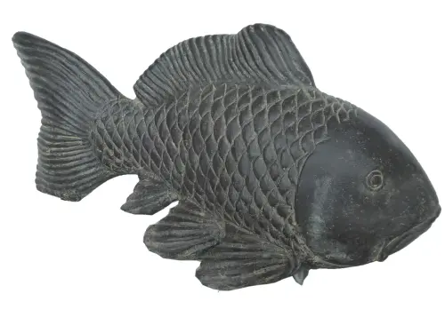 Product image of the product “Koi carp , 75cm Length 75 cm”